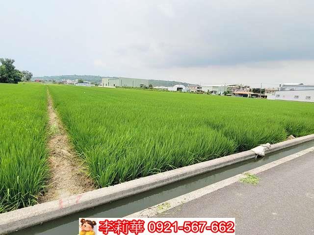 林園農地-7