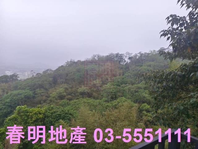 橫山農地-10