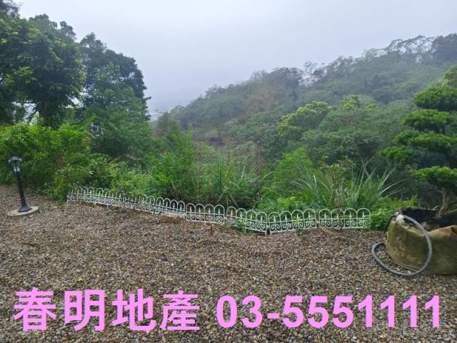橫山農地-12