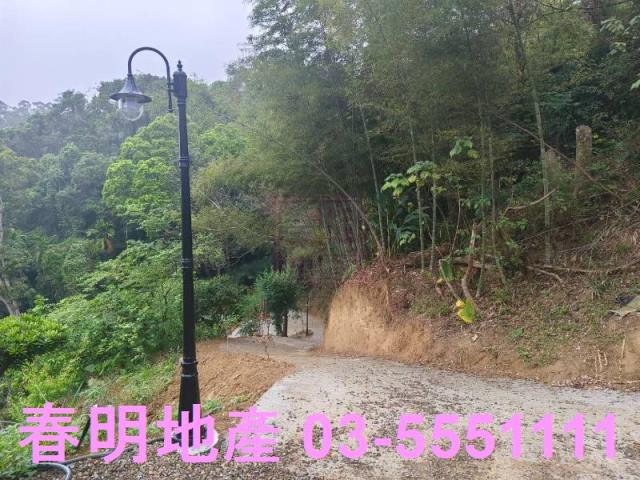 橫山農地-13
