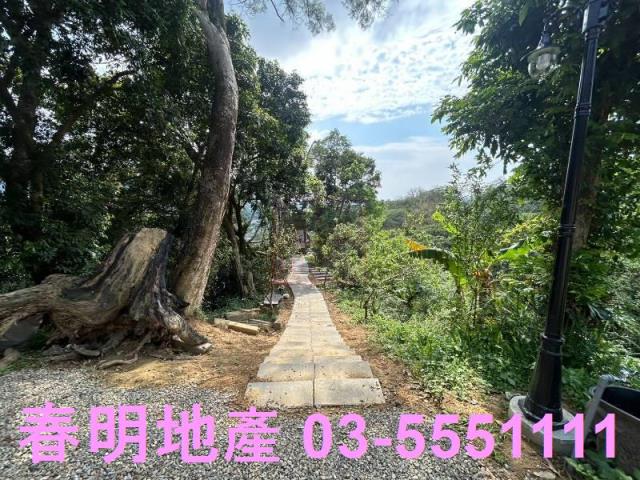 橫山農地-7