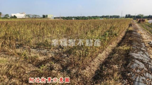 善化農地-4