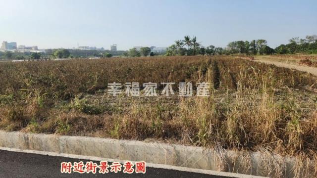 善化農地-8