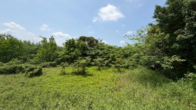 芎林建地-11