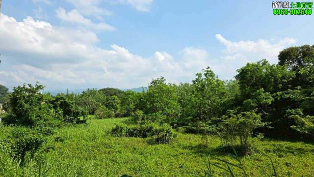 芎林工業地-10