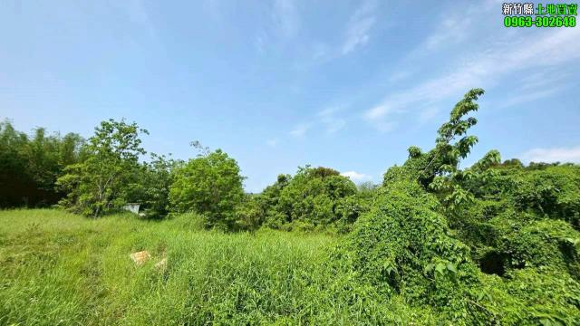 芎林工業地-1