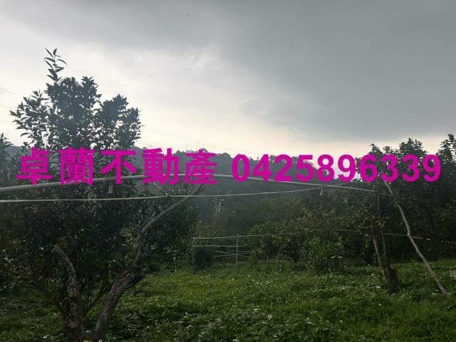 卓蘭農地-9