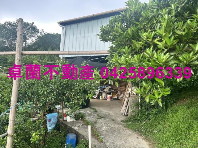 卓蘭農地-1