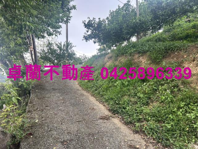 卓蘭農地-2
