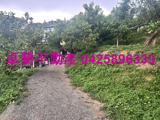 卓蘭農地-4