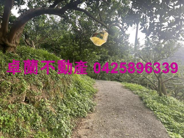 卓蘭農地-5