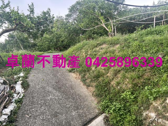 卓蘭農地-7