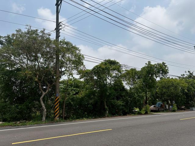 台南新化農地-5