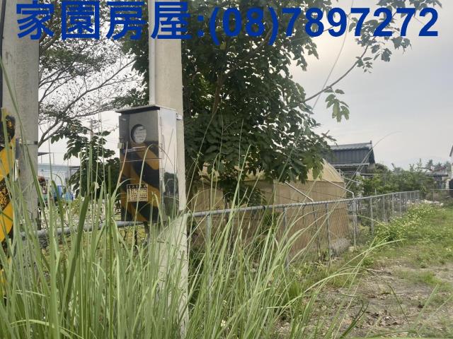 屏東新埤農地-2