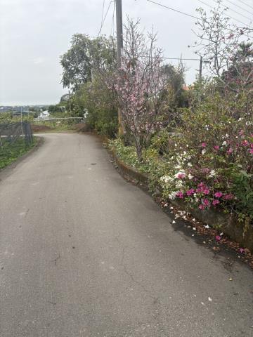 東勢農地-1