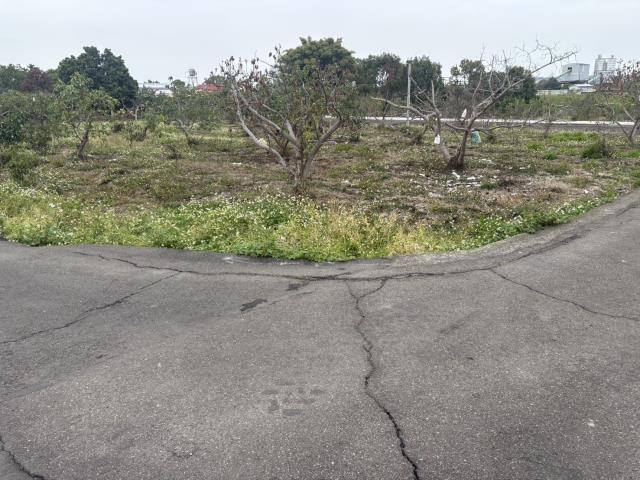 東勢農地-2