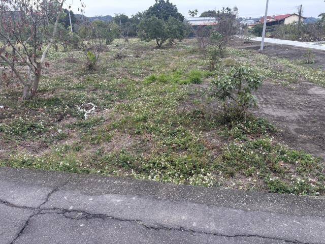 東勢農地-3