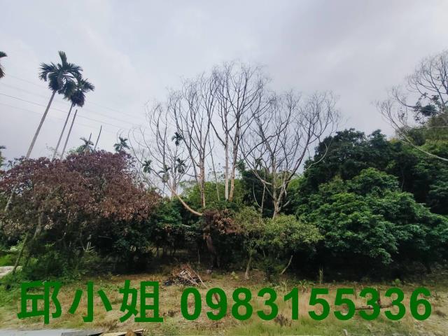 竹崎農地-9
