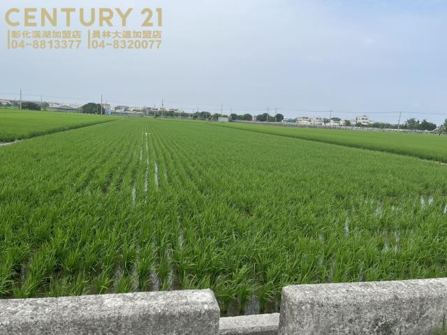 彰化農地-7