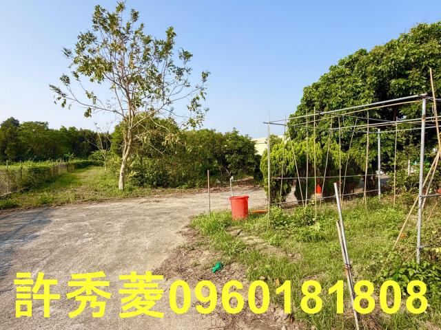 岡山農地-12