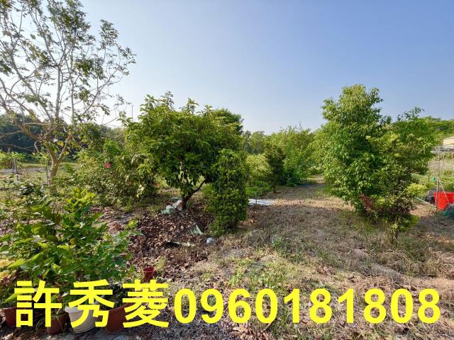 岡山農地-6