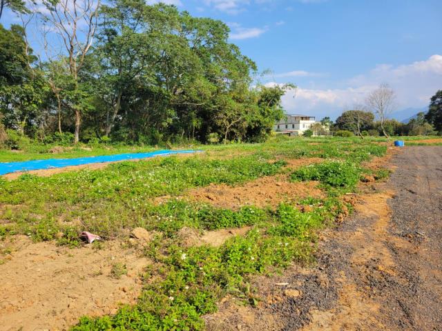 龍潭農地-10