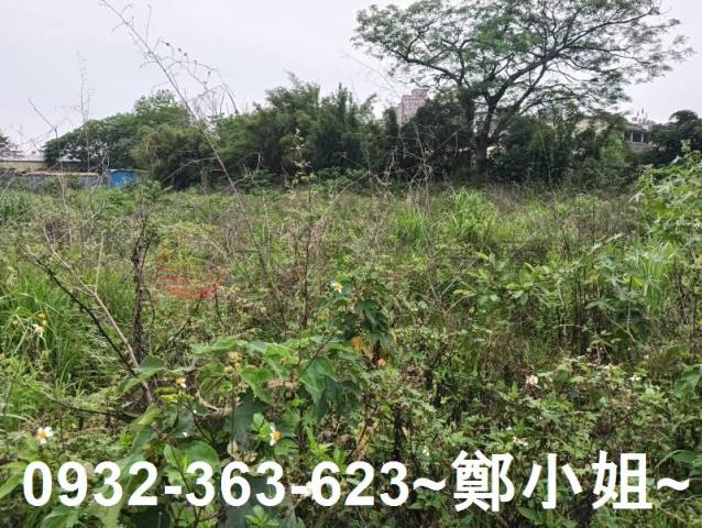 桃園農地-6