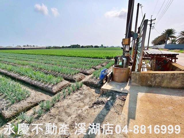 彰化埔鹽農地-1