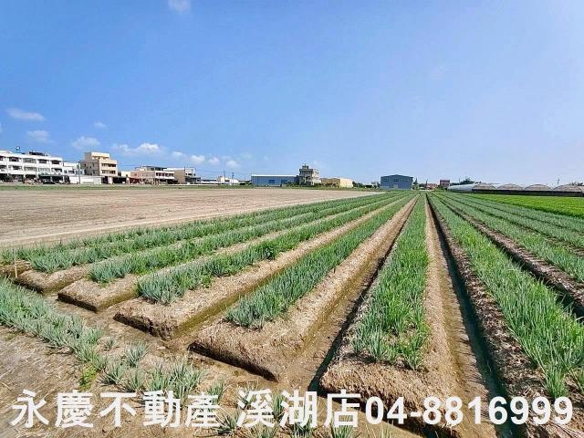 彰化埔鹽農地-6