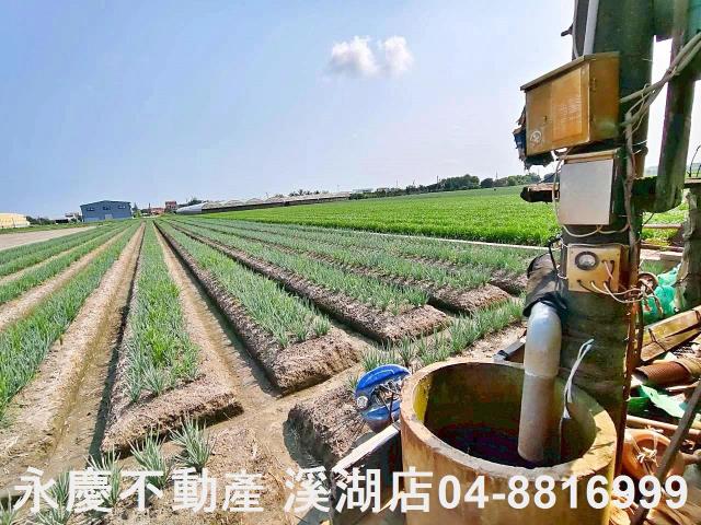 彰化埔鹽農地-8