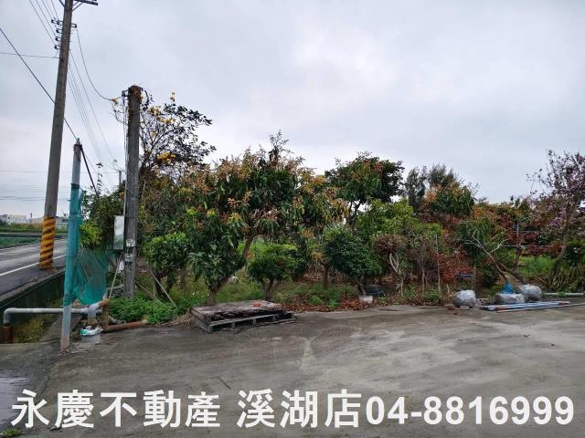 溪湖農地-13
