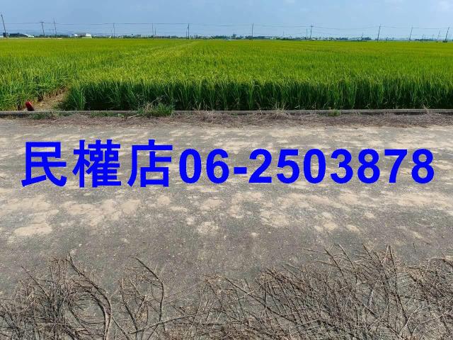 後壁農地-10