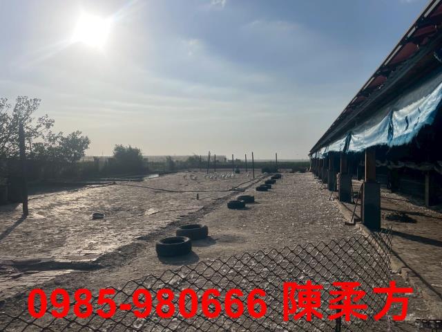 六腳農地-13