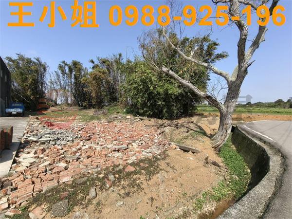 觀音農地-3