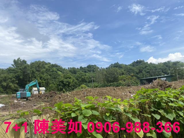 大社農地-1