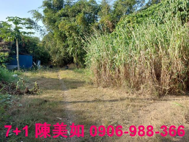 高雄農地-1