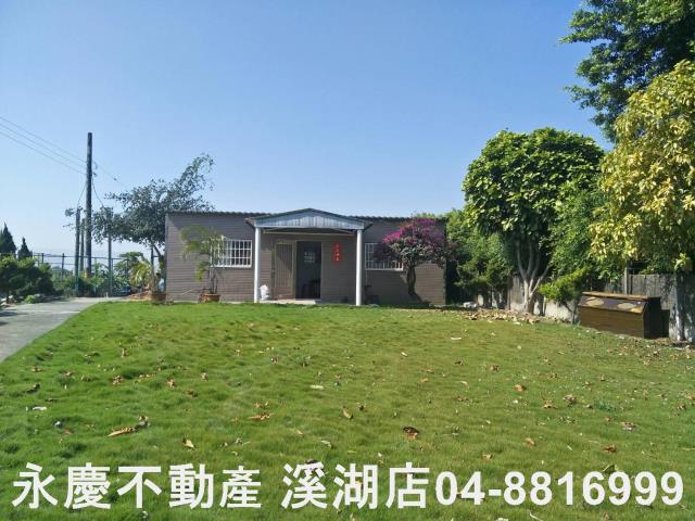 埤頭農地-2