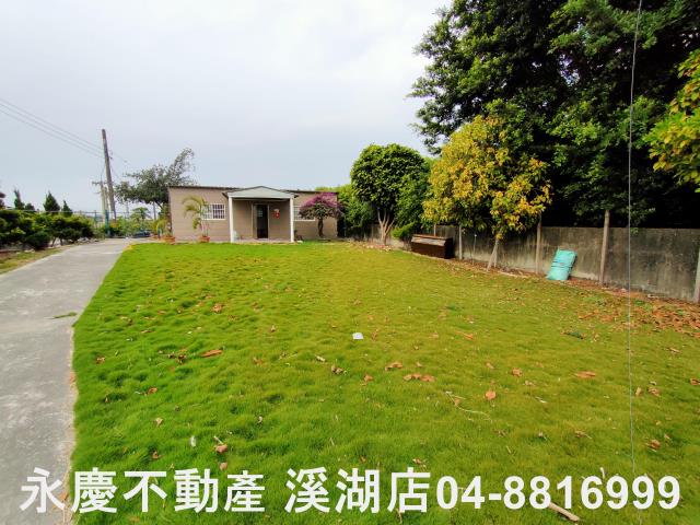 埤頭農地-5