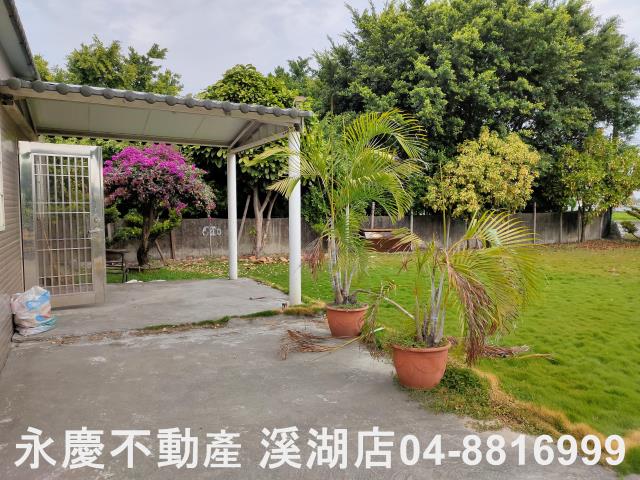 埤頭農地-7