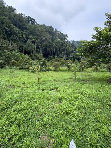 北埔農地-3