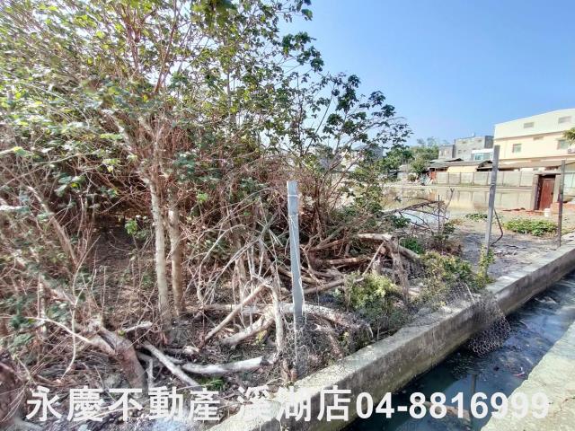埔鹽農地-9