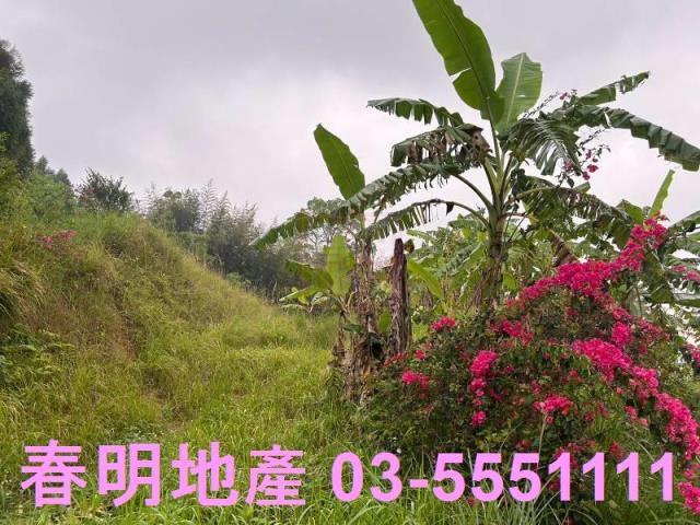 新竹農地-3