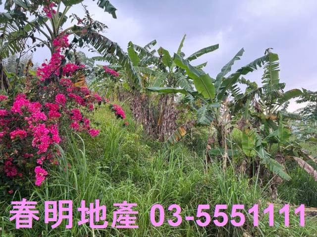 新竹農地-4