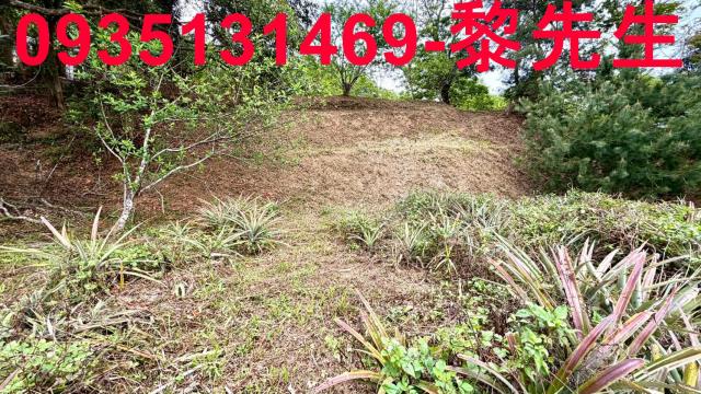 新竹農地-14