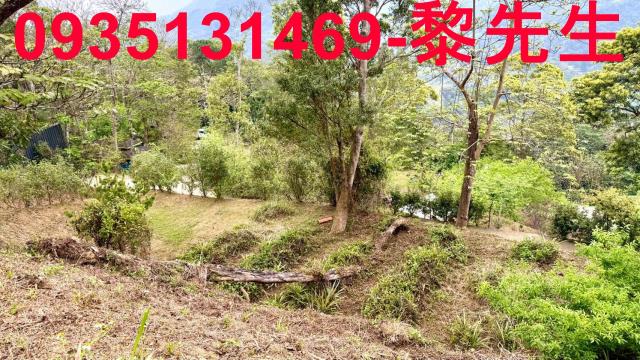 新竹農地-9