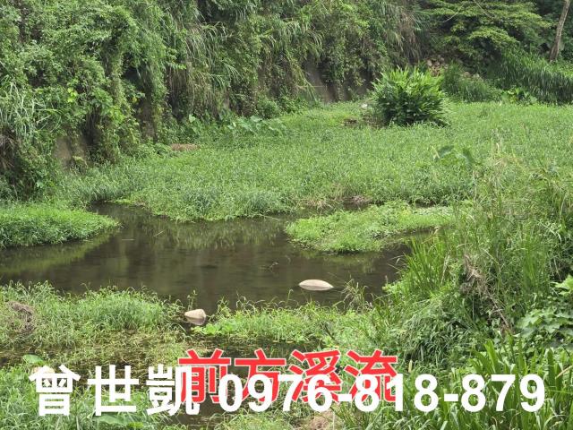 新竹關西建地-9