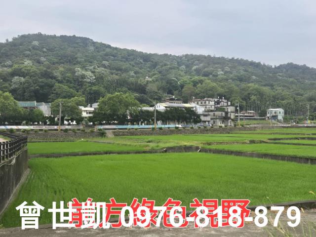 新竹關西農地-4