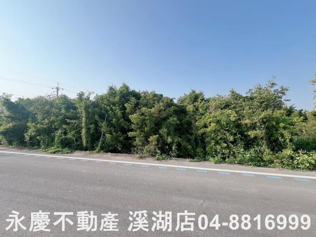 彰化埤頭農地-11