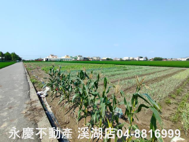彰化埔鹽農地-10
