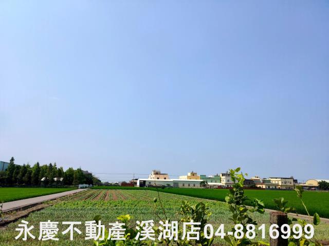 彰化埔鹽農地-4